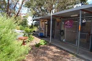 Paws Away Boarding Kennels Pic 2 - our double kennels