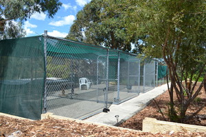 Paws Away Boarding Kennels Pic 4 - our excercise yards