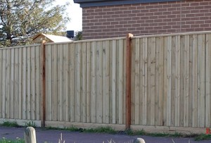 Ted`s Fencing Pic 2 - Paling Fence exposed posts