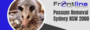 Front Line Pest Control - Possum Removal Sydney Pic 2