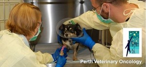 Perth Animal Surgery Pic 2