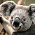 hytecRic's profile image
