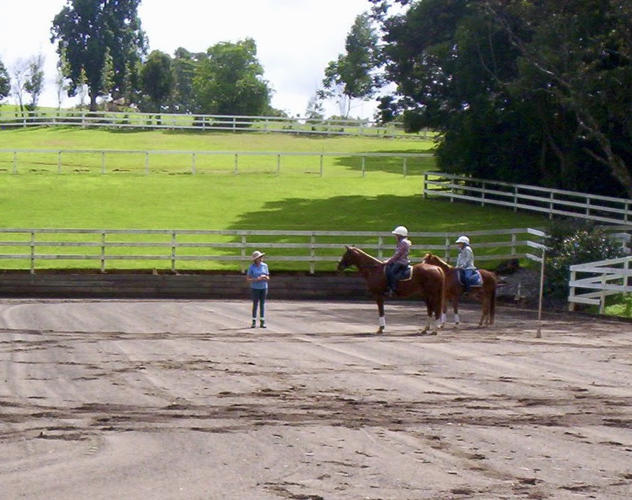 Karalben Riding School & Stables Pic 1