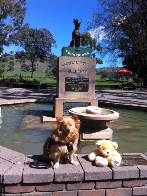 Lynda's Doggy Stylz Pic 2 - Hi Lynda Gday from Buster n Teddy away on holidays Were at Gundagui NSW