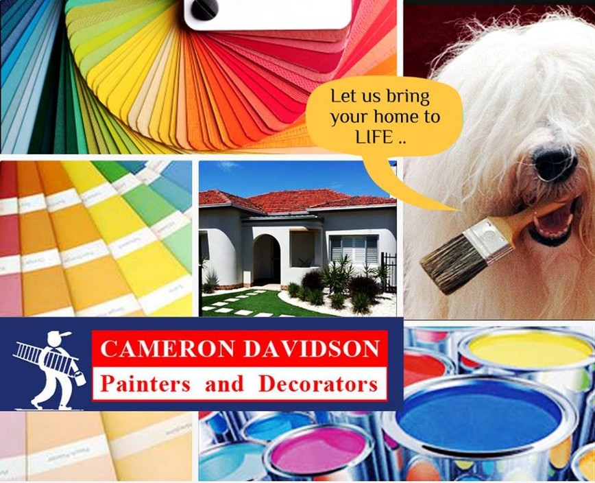 Cameron Davidson Painters & Decorators Pic 1