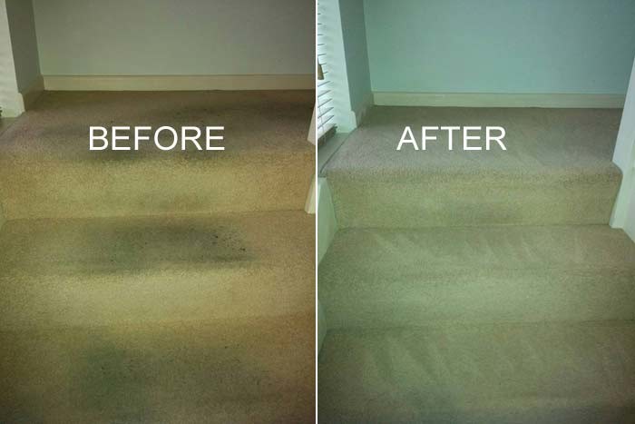 Bay Carpet Cleaners Pic 1