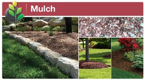 Lower Mountains Landscape Supplies Pic 4 - Landscape Supplies Mulch