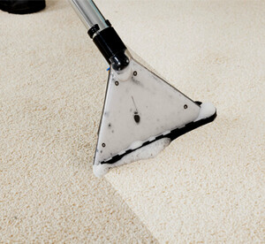 Prompt Carpet Cleaning Perth Pic 3