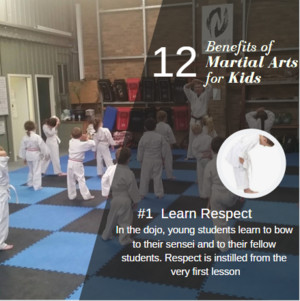 Koryu Uchinadi Newcastle Pic 2 - One of the many benefits of Martial Arts Training