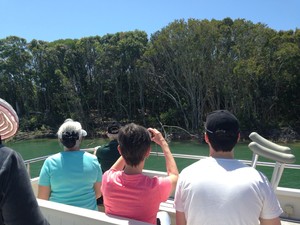 Caloundra Cruise Pic 2 - Thursday Eco Cruise