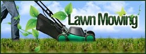 Mighty Mower Man Pic 3 - Take pics of your lawn Ill text you a quote on 0404163973