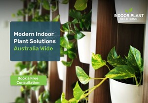 Indoor Plant Solutions Pic 2 - Morden Indoor Plants Solutions