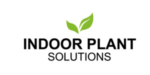 Indoor Plant Solutions Pic 3 - Indoor Plant Solutions