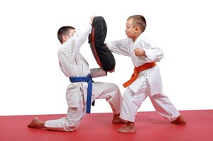 SKM Martial Arts Pic 2