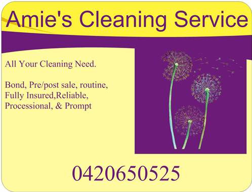 Amie's Cleaning Service Pic 1