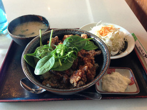 Ramen Kan Pic 4 - Karaage Don it comes with pretty much everything else