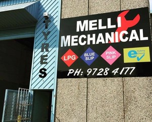 Melli Mechanical Pic 3