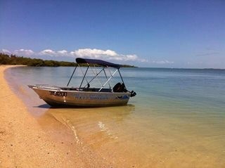 Moreton Bay Hire Boats Pic 1 - Our boats are new and unsinkable