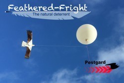 Pestgard Pic 4 - Pestgard Feathered Fright scares birds from large agricultural areas weather balloon holds kite aloft very realistic