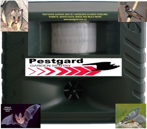 Pestgard Pic 5 - Pestgard Yardgard Sentinel deters possums bats pigeons swallows and many more pest animals and birds AC or Dc power