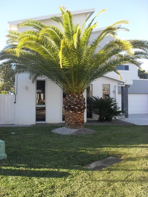 Brizscapes Gardening & Landscaping Pic 5