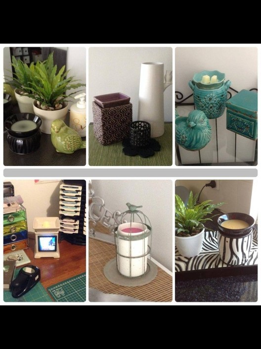 Scentsy Independent Consultant Pic 1