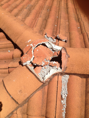 Pro Top Roofing Pty Ltd Pic 5 - Checked your roof lately