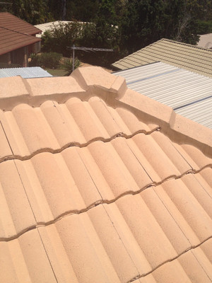 Pro Top Roofing Pty Ltd Pic 2