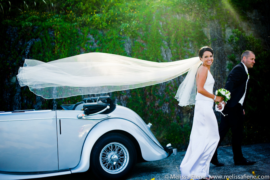 Melissa Fiene Photography Pic 1 - Bondi icebergs wedding