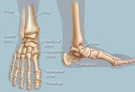 Hobart Podiatrists and Footwear Pic 5 - We treat all kinds of foot pain including joint pain and stress fractures