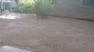 Macca's Property services Pic 2 - level and ready to seed up