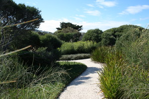 Ocean Road Landscaping Pic 4 - Landscaping in Geelong Surfcoast and Bellarine Peninsula