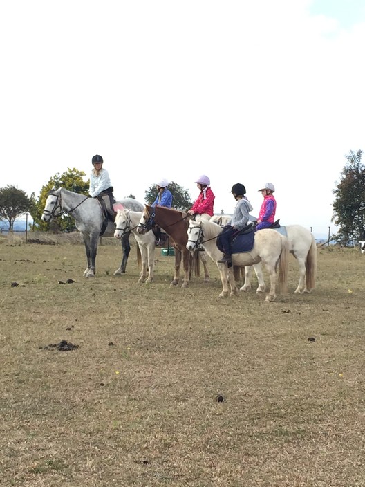 Hills and Hollows Horse Riding Centre Pic 1