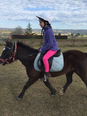 Hills and Hollows Horse Riding Centre Pic 2