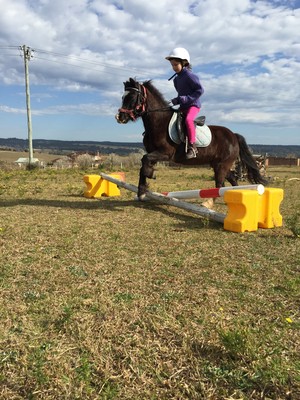 Hills and Hollows Horse Riding Centre Pic 3