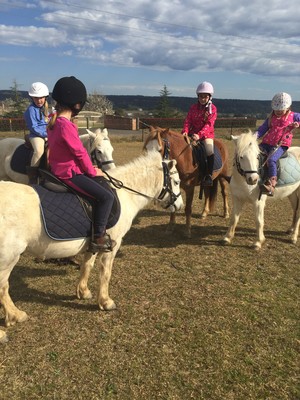 Hills and Hollows Horse Riding Centre Pic 4 - Group lessons include mounted games mini trail riding and jumping with NCAS qualified instruction