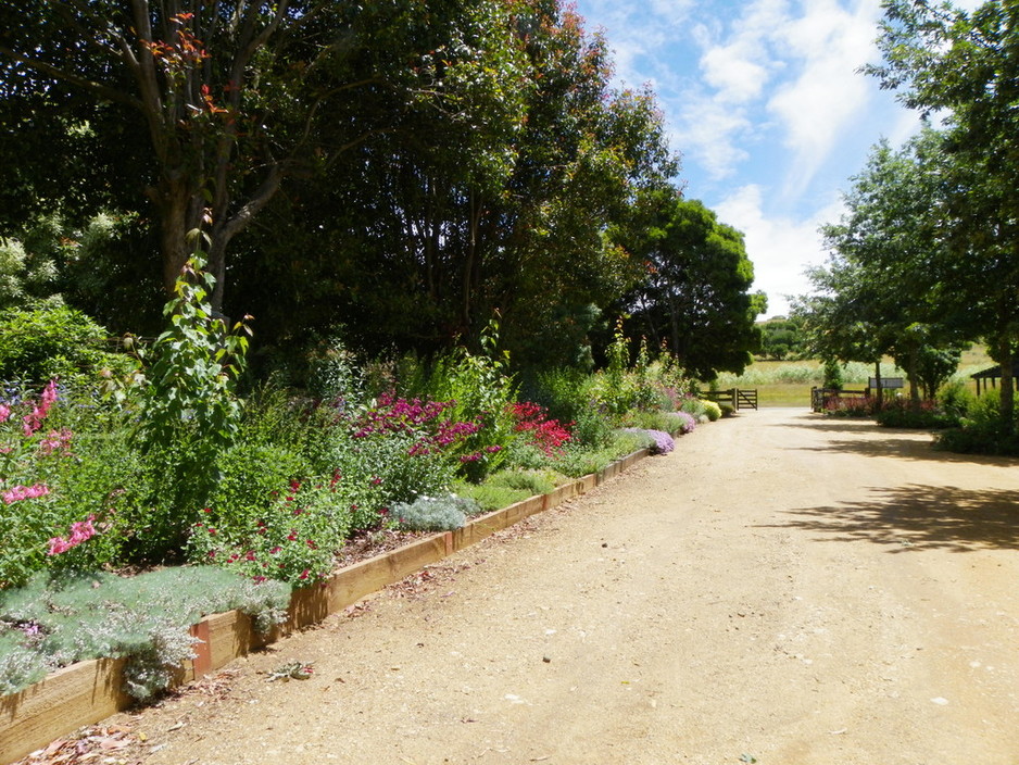 Blackwood Ridge Nursery, Garden & Cafe Pic 1 - Perennial Border at Blackwood RIdge Nursery