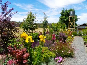 Blackwood Ridge Nursery, Garden & Cafe Pic 2 - Woodland Border at Blackwood Ridge Nursery