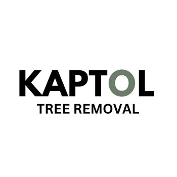 Kaptol Tree Removal Pic 1