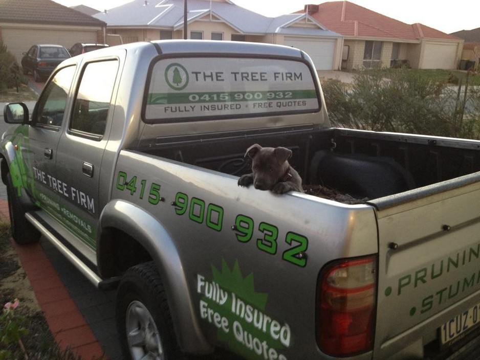 The Tree Firm Pic 1 - The Tree Firm Perth Tree Lopping