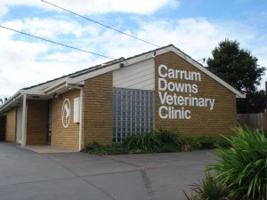 Carrum Downs Veterinary Clinic Pic 1