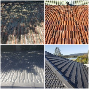 Blue Coast Painting Pic 2 - TERRACOTTA ROOF TILES BEFORE AND AFTER