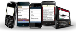 The Mobile Marketer Pic 5 - Mobile Websites Australia