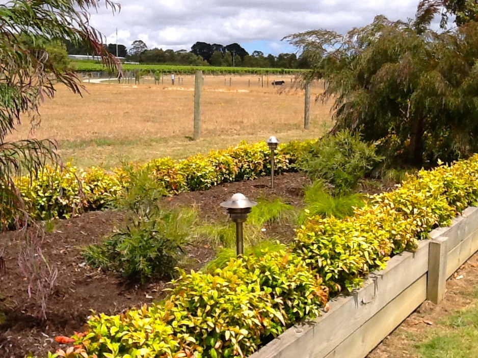 Hillview Nursery VIC Pty Ltd Pic 1 - Garden Beds