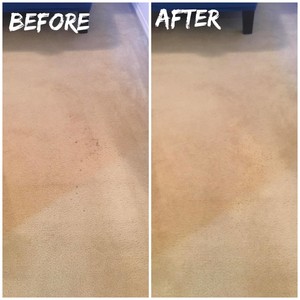 Keeping It Fresh Carpet Cleaning Pic 5