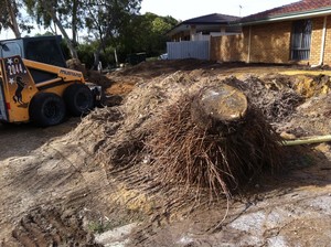 Attention to Detail Bobcat Services Pic 3