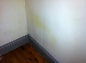 Mould Removals Sydney Pic 3