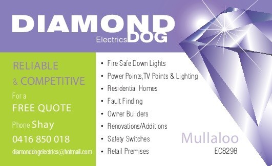 Diamond Dog Electrics Pic 1