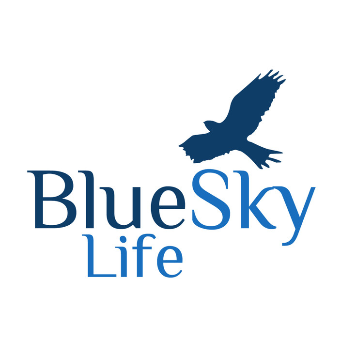 Blue Sky Life Pic 1 - Blue Sky Life Logo Counselling and Hypnotherapy Northern Beaches Sydney Australia