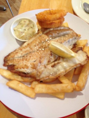 Nessies Cafe & Restaurant Pic 3 - Grilled Barramundi with serve of chips with tarte sauce